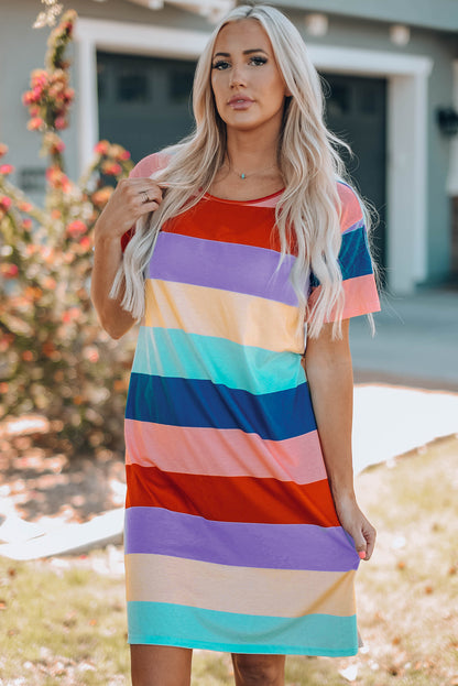 Women Color Block Side Slit Mini Dress