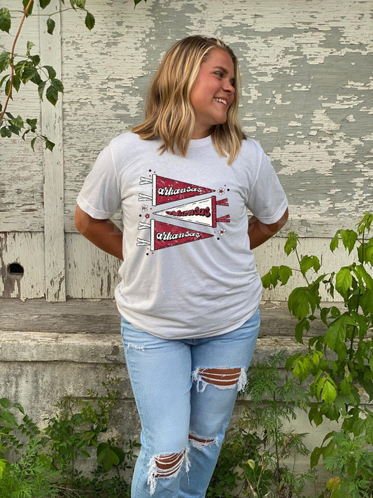 Tri Arkansas Flag (adult) Tee